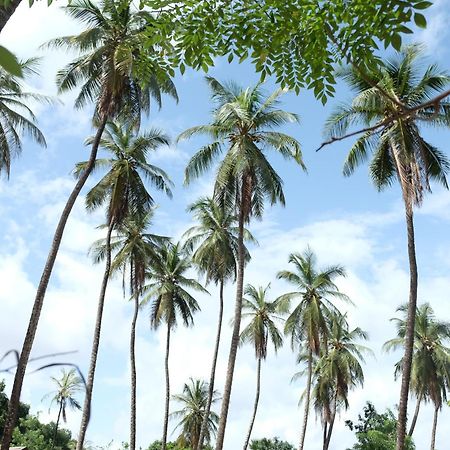 Diakene Ouolof Centre Touristique Et Culturel Casamanceゲストハウス エクステリア 写真
