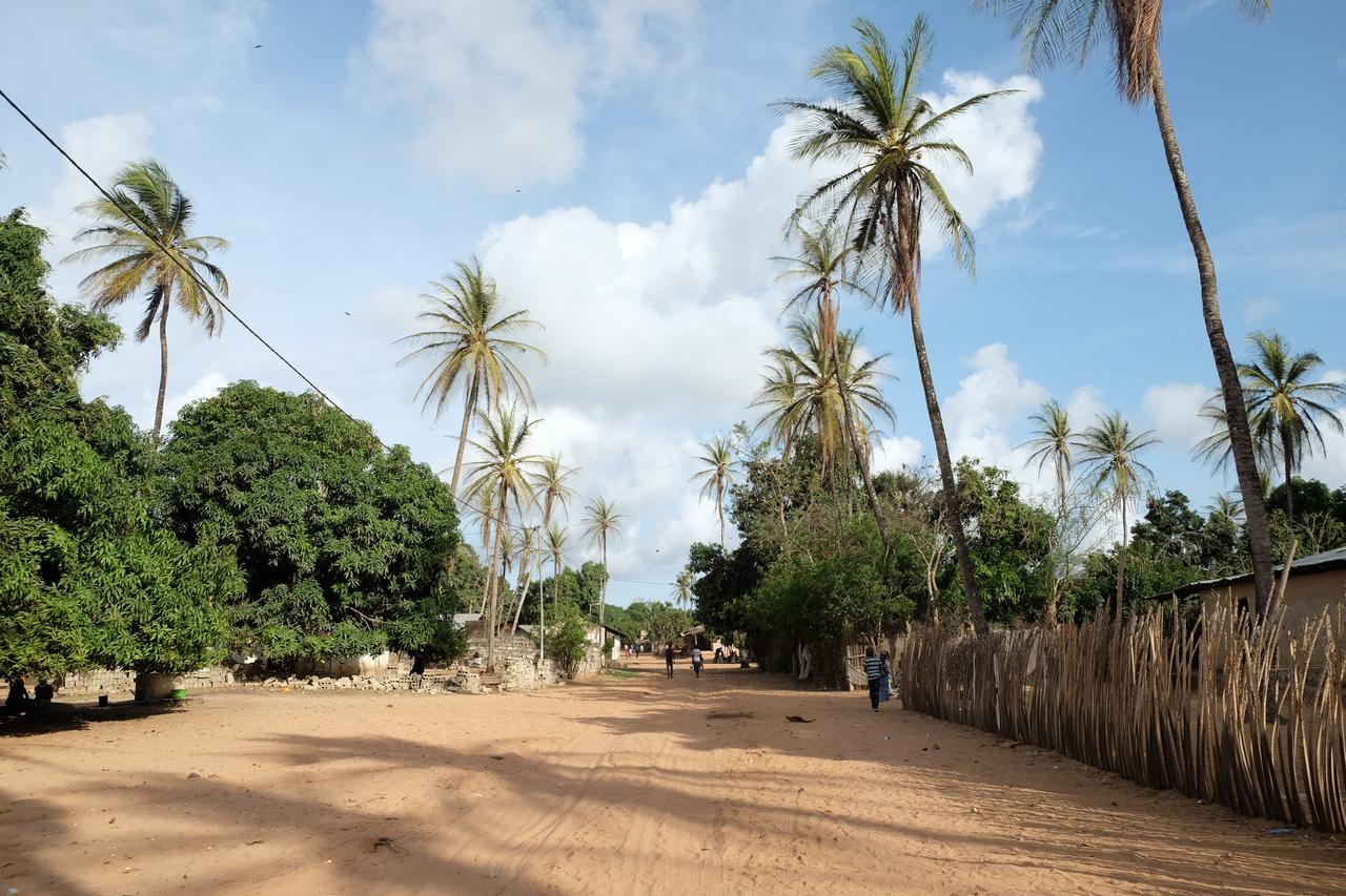 Diakene Ouolof Centre Touristique Et Culturel Casamanceゲストハウス エクステリア 写真