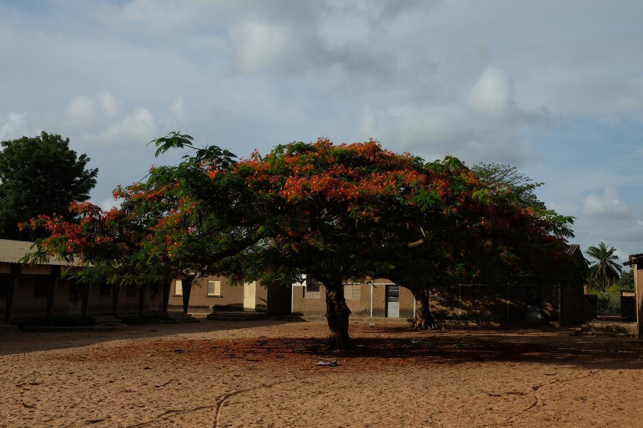 Diakene Ouolof Centre Touristique Et Culturel Casamanceゲストハウス エクステリア 写真