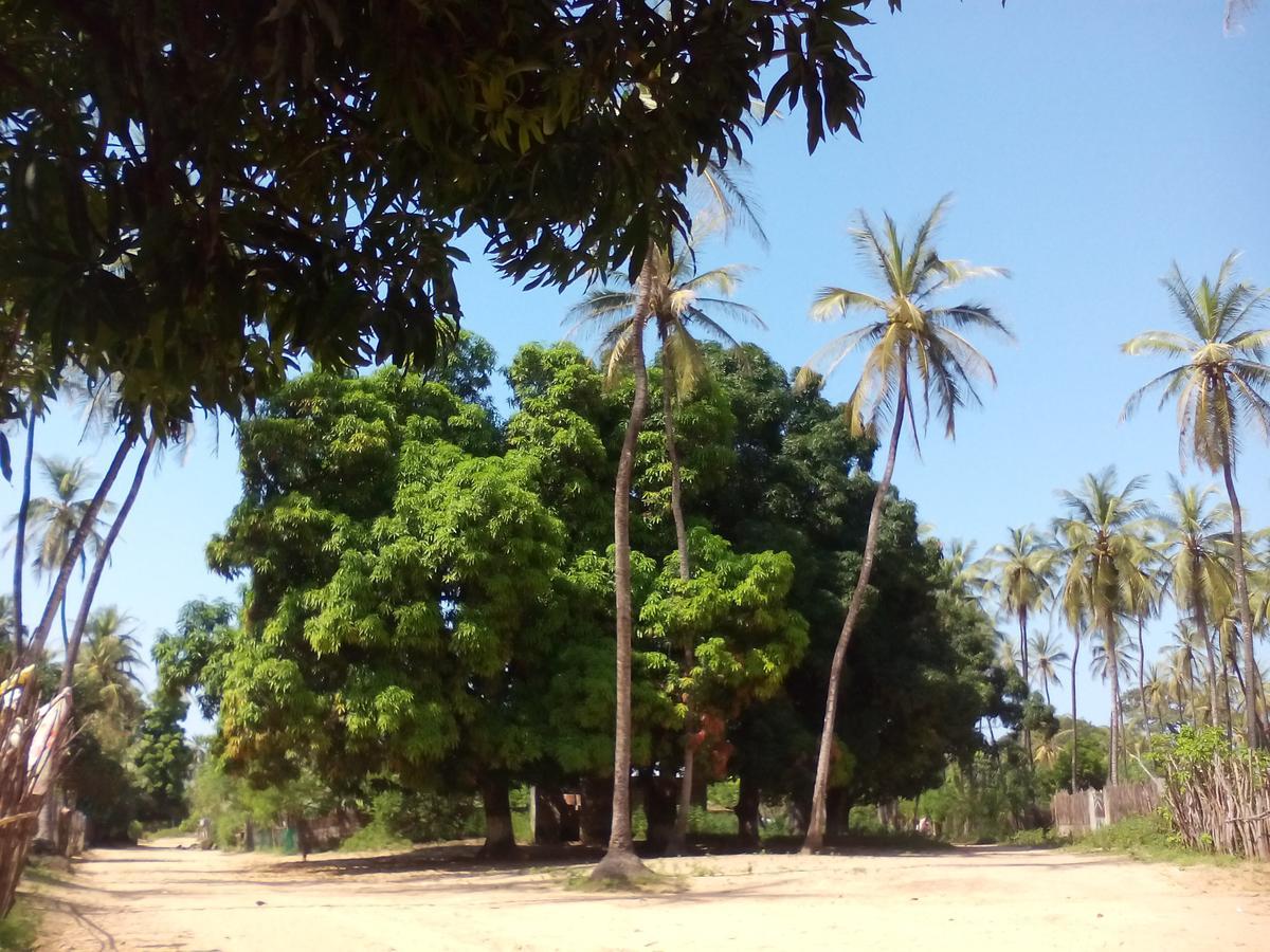Diakene Ouolof Centre Touristique Et Culturel Casamanceゲストハウス エクステリア 写真