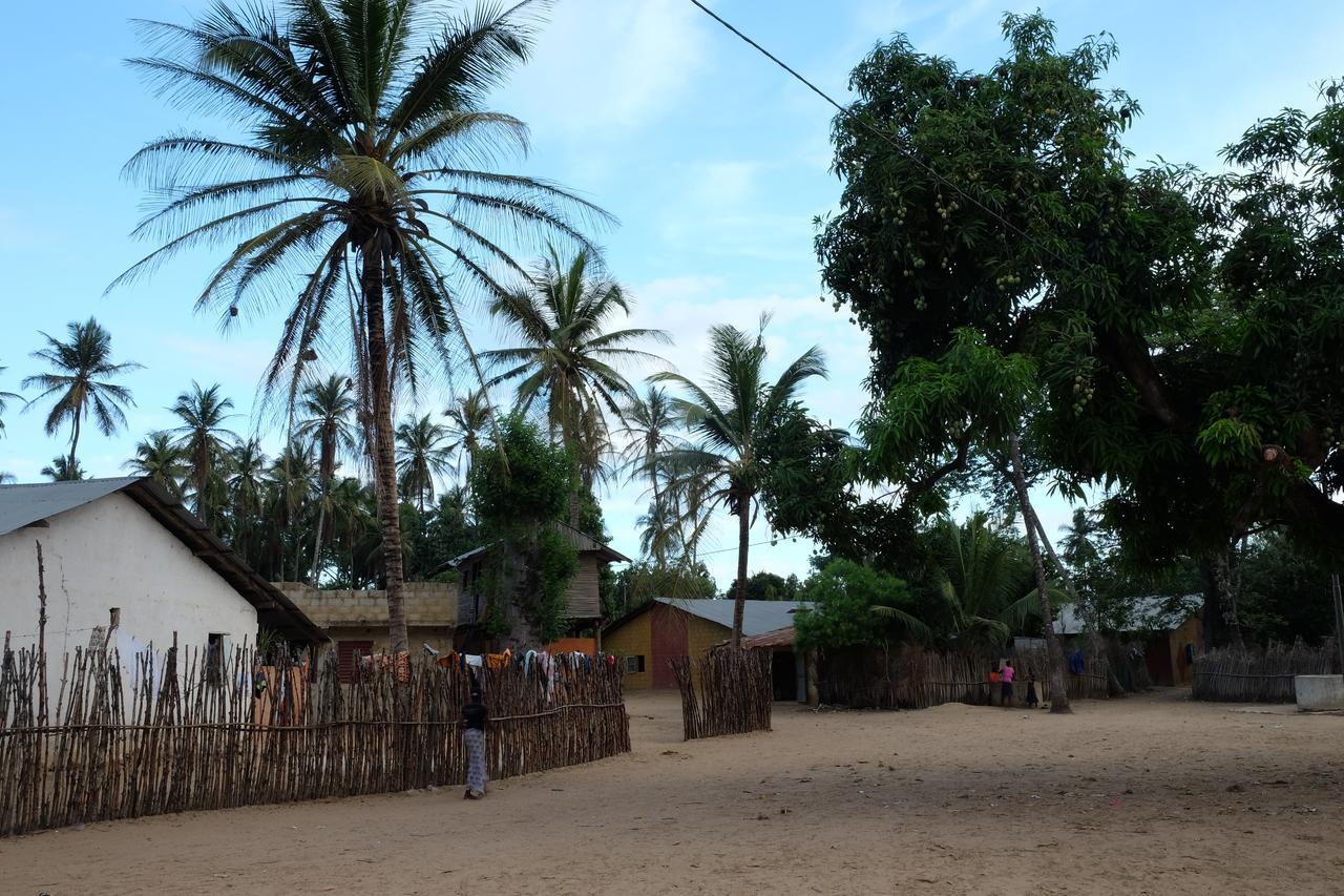 Diakene Ouolof Centre Touristique Et Culturel Casamanceゲストハウス エクステリア 写真