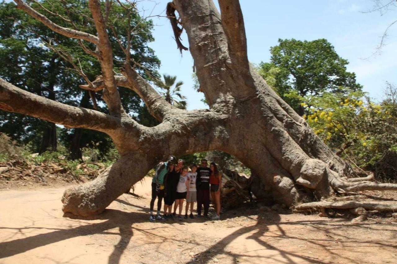 Diakene Ouolof Centre Touristique Et Culturel Casamanceゲストハウス エクステリア 写真